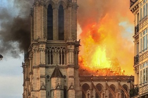 katedra notre dame